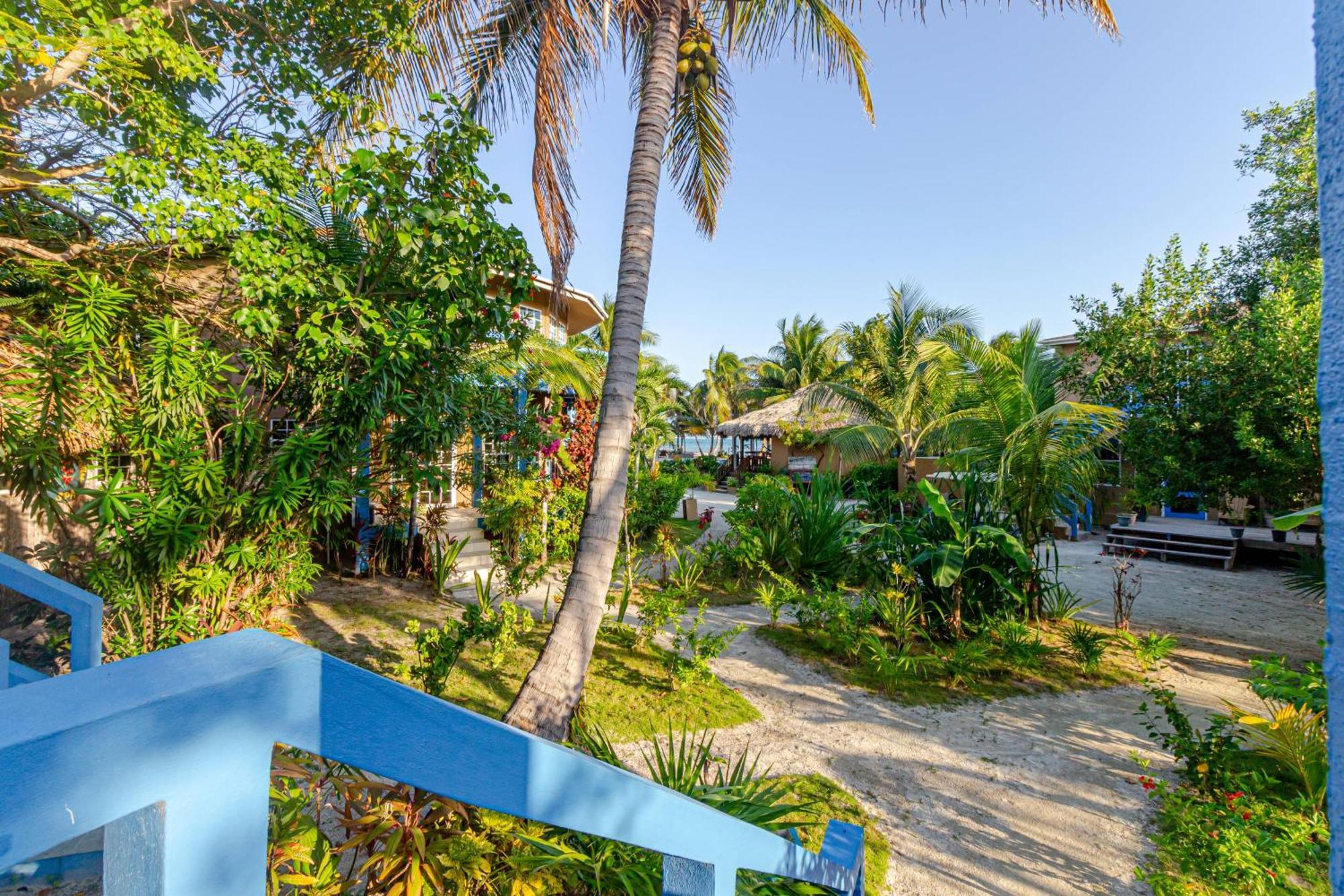 White Sands Cove San Pedro  Chambre photo